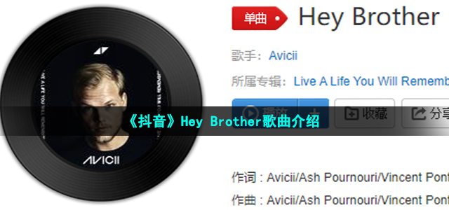 《抖音》Hey Brother歌曲介绍