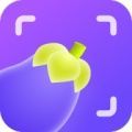 茄子水印相机app下载,茄子水印相机app最新版 v1.6.0.0