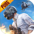 pubg m(地铁逃生)国际服2.0下载,pubg m(地铁逃生)国际服2.0下载安装最新版 v2.8.0