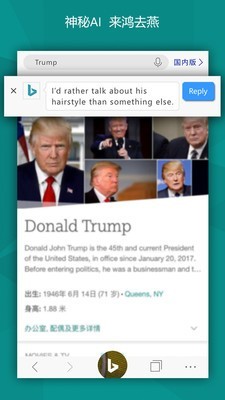 Bing必应搜索引擎下载-Bing必应搜索引擎免费安卓apk下载v11.5.28219302