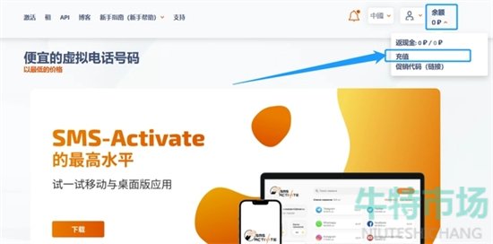 《ChatGPT》付费充值方法介绍