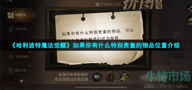 《哈利波特魔法觉醒》如果你有什么特别贵重的物品位置介绍