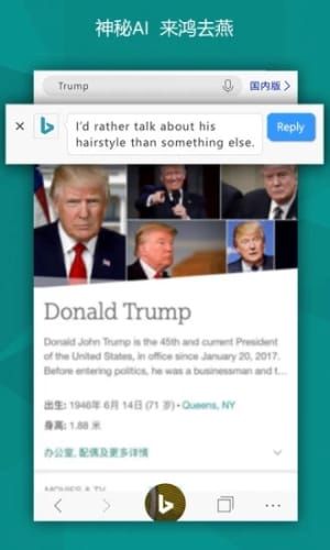 必应APP安卓版下载-必应聊天机器人功能开启搜索引擎下载v6.9.10