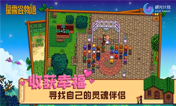 stardewvalley联机手游下载-stardewvalley多人联机最新版下载v1.4.5.145