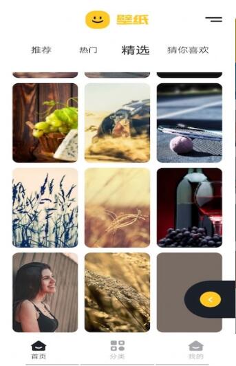 精选主题壁纸app下载-精选主题壁纸便捷桌面壁纸安卓端免费下载v1.1