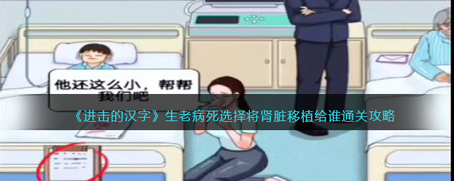 《进击的汉字》生老病死选择将肾脏移植给谁通关攻略