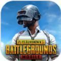 PUBG MOBILE吃鸡国际服下载,PUBG MOBILE吃鸡国际服手游官方正版 v2.4.1