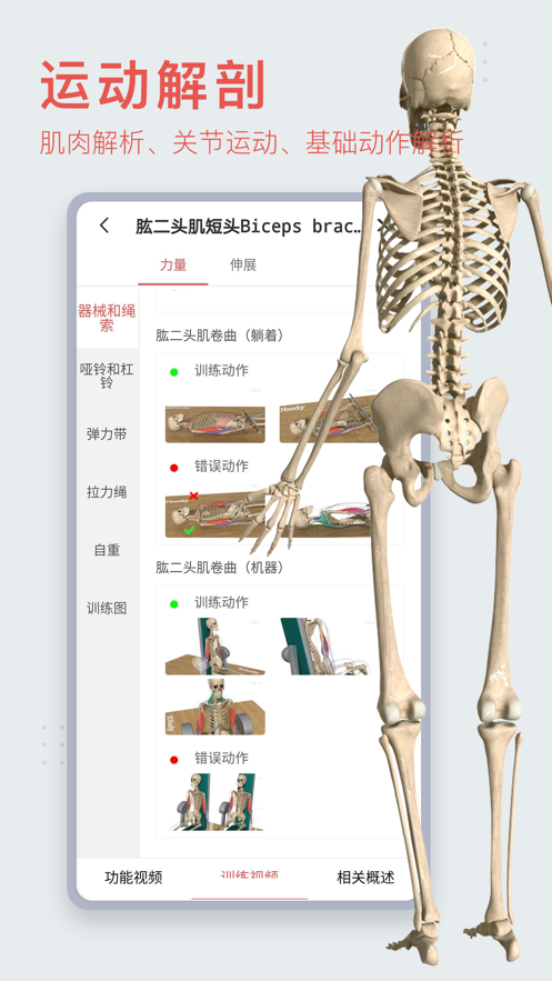 3Dbody解剖学软件下载-3Dbody解剖appv8.7.31 最新版