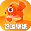 好运壁纸APP下载,好运壁纸APP2023最新版 v1.0.0