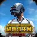 pubg地铁逃生国际服28版本下载,pubg地铁逃生国际服2.8版本下载最新版 v2.8.0