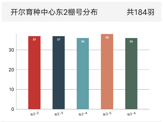 信鸽云