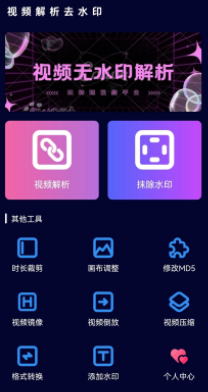 视频去水印解析app